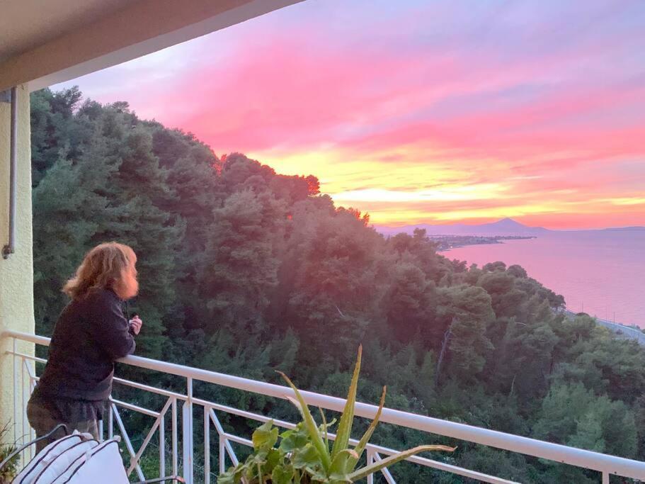 Amfiteatrico Sea View - Kalamos Attiki Apartment Markopoulon Oropou Exterior foto